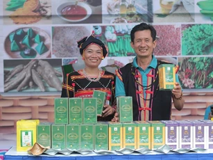 Gia Lai hỗ trợ chuyển đổi hơn 3.000 hộ kinh doanh thành doanh nghiệp