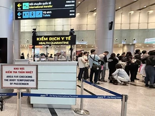 Đà Nẵng chủ động phòng chống dịch bệnh do virus Nipah