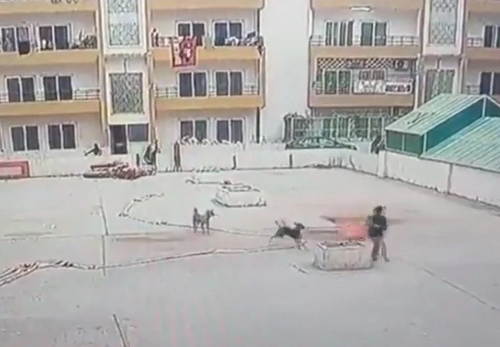 Ảnh cắt từ clip.