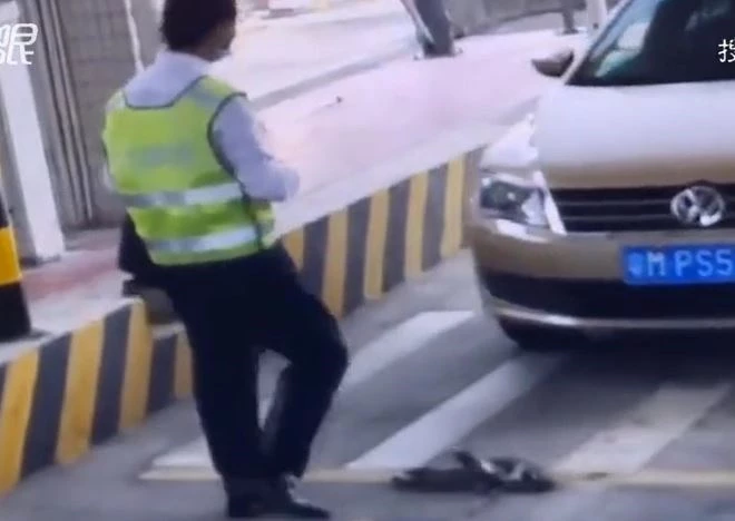 Ảnh cắt từ clip.