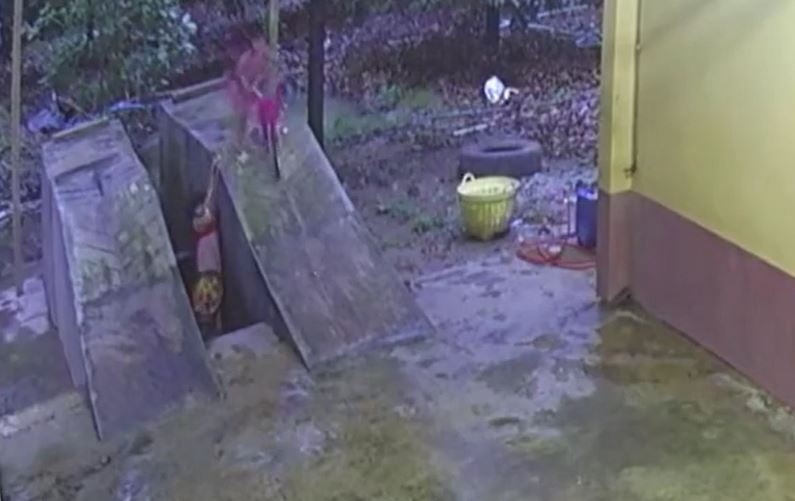 Phản xạ thần tốc, bé gái 5 tuổi thoát chết trong gang tấc