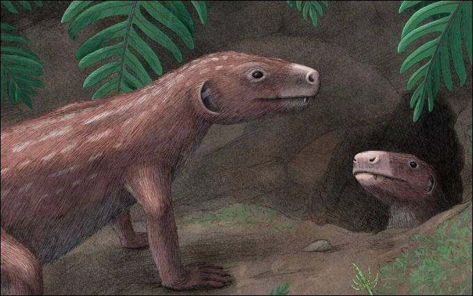 Hình minh họa về tổ tiên của loài động vật có vú kỷ Tam Điệp, Thrinaxodon.