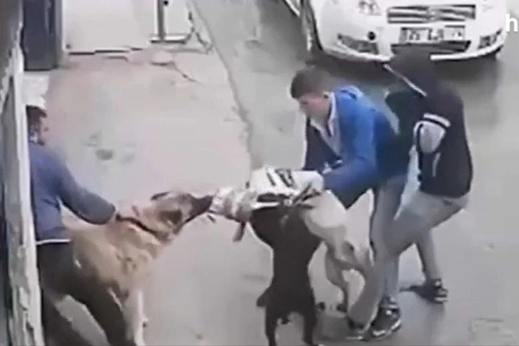 Ảnh cắt từ clip.