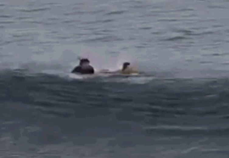 Ảnh cắt từ clip.