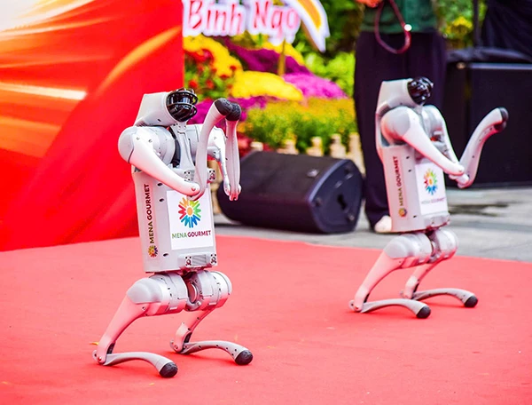 Cặp đôi robot MEME và NANA.