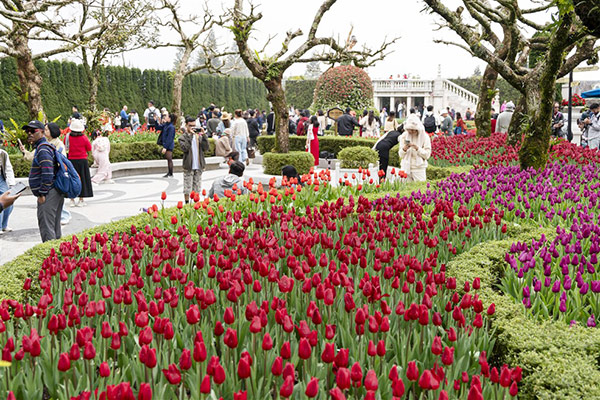 Đà Nẵng: Tết truyền thống hiện diện trong cuộc sống đương đại