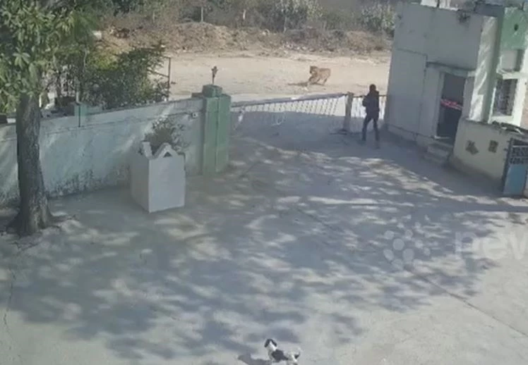 Ảnh cắt từ clip.