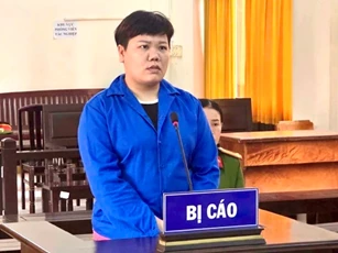 Lừa xuất khẩu lao động, một phụ nữ ở An Giang lãnh 16 năm tù