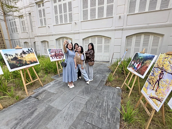 Và đường tranh mùa xuân.