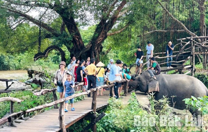 Hoạt động trải nghiệm du lịch thân thiện với voi - một sản phẩm du lịch kỳ vọng hấp dẫn du khách trong dịp Tết Nguyên đán 2026. Ảnh: Báo Đắk Lắk.