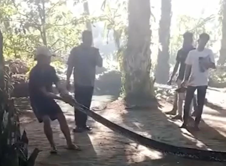 Ảnh cắt từ clip.