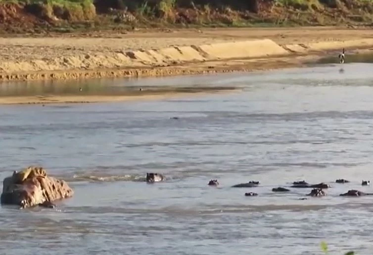 Ảnh cắt từ clip