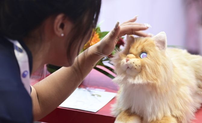 Thú cưng AI và sự trỗi dậy của ‘nền kinh tế cô đơn’ ở Trung Quốc