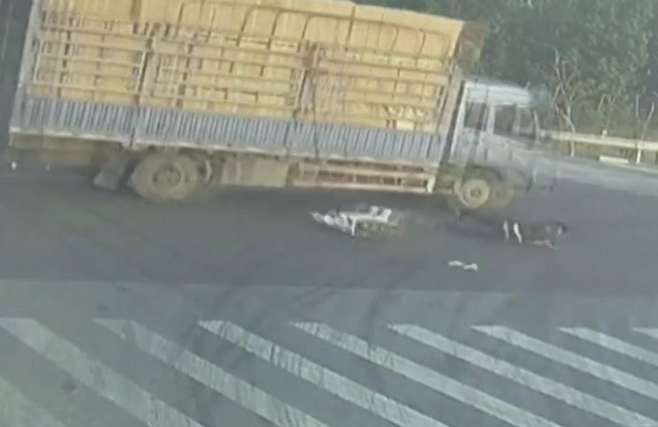 Vượt đèn vàng rồi trượt ngã, thanh niên thoát chết trong tích tắc trước bánh xe tải