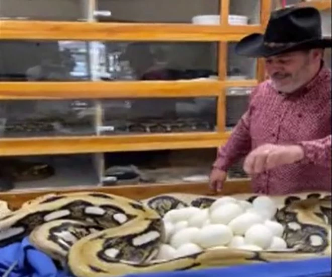 Ảnh cắt từ clip.