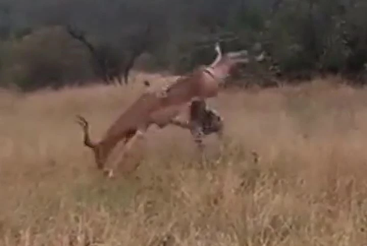 Ảnh cắt từ clip