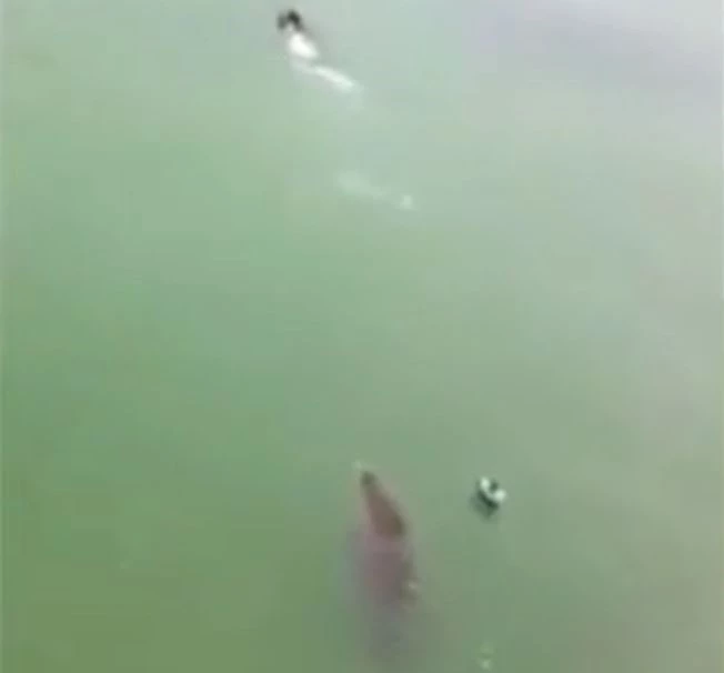 Ảnh cắt từ clip.