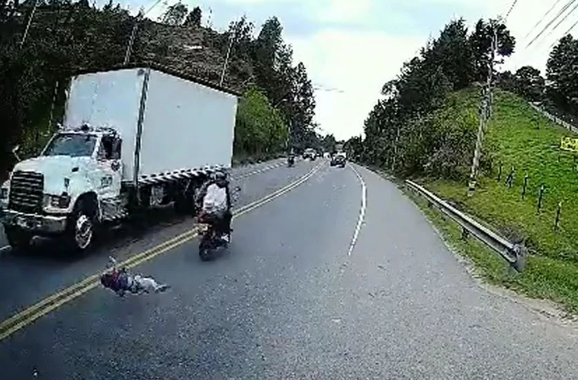 Ảnh cắt từ clip.