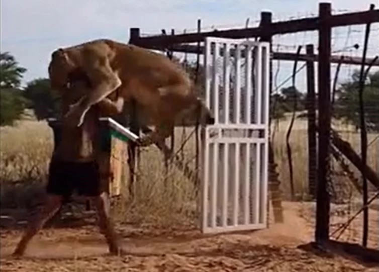 Ảnh cắt từ clip.