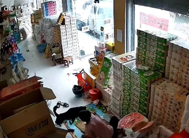 Ảnh cắt từ clip