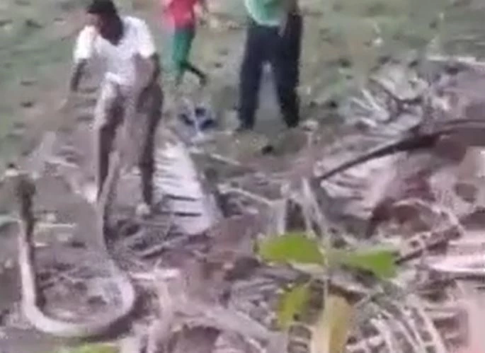 Ảnh cắt từ clip.