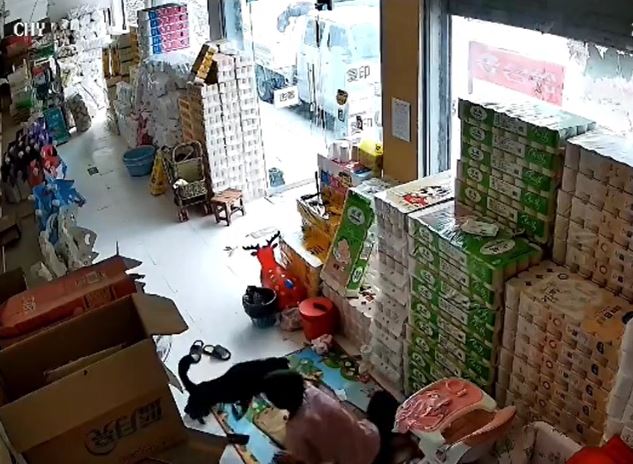 Cha dùng thân mình chắn chó dữ cứu con