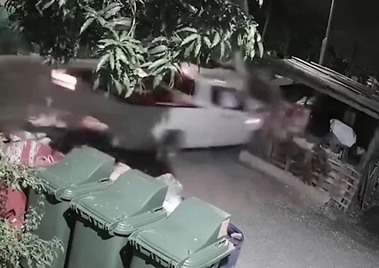 Ảnh cắt từ clip.