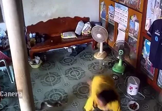 Ảnh cắt từ clip.