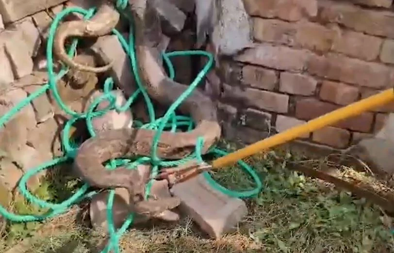 Ảnh cắt từ clip.