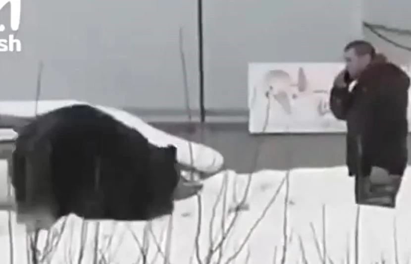 Ảnh cắt từ clip.