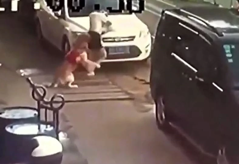 Ảnh cắt từ clip.