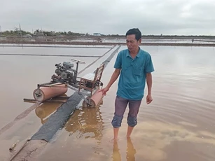 Mưa trái mùa ‘biến’ hơn 7.500 tấn muối của diêm dân Cà Mau thành nước