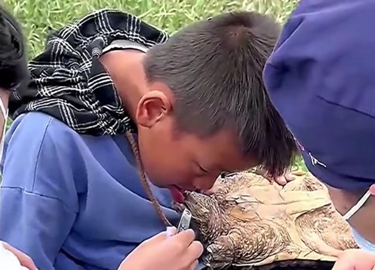 Bác sĩ dùng bấm móng tay giải cứu bé trai 10 tuổi bị rùa cắn chặt lưỡi