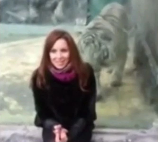 Ảnh cắt từ clip.