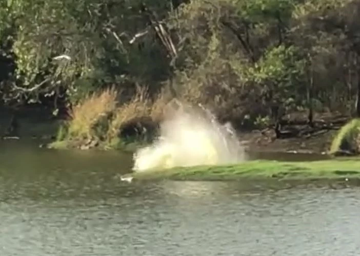 Ảnh cắt từ clip.