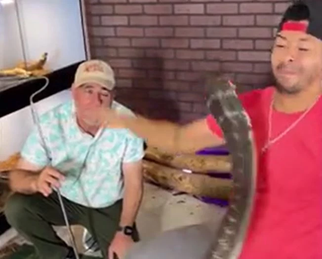 Ảnh cắt từ clip.