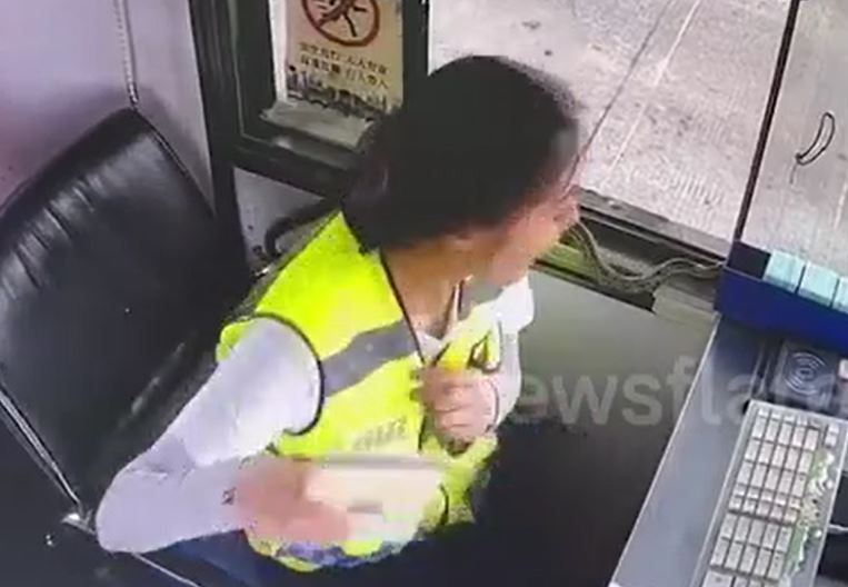 Rắn độc bò thẳng vào cabin trạm thu phí, nữ nhân viên hoảng loạn tháo chạy