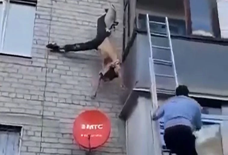 Ảnh cắt từ clip.