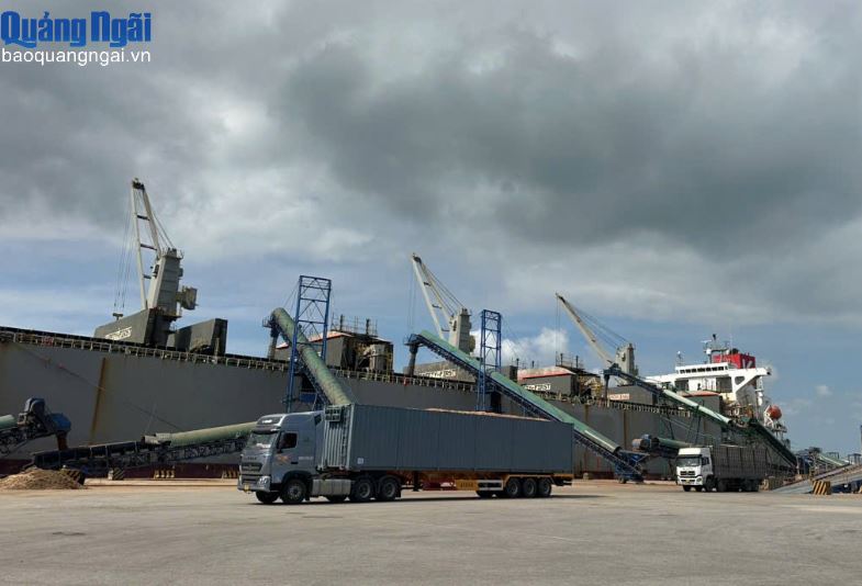 Cảng biển Quảng Ngãi tăng tốc chuyển đổi số, nâng tầm quản lý và khai thác