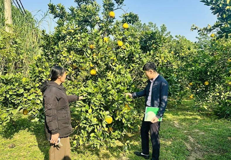 Nhiều hộ dân xã Như Thanh được vay vốn chính sách phát triển kinh tế hiệu quả. Ảnh: Báo Thanh Hóa.