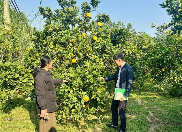 Đẩy mạnh chuyển đổi số, người dân Thanh Hóa dễ dàng tiếp cận dịch vụ tài chính