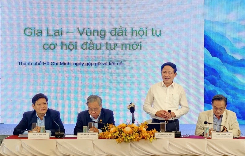 Chủ tịch UBND tỉnh Gia Lai Phạm Anh Tuấn chia sẻ với các doanh nghiệp, nhà đầu tư tại TP Hồ Chí Minh. Chủ tịch UBND tỉnh Gia Lai Phạm Anh Tuấn chia sẻ với các doanh nghiệp, nhà đầu tư tại TP Hồ Chí Minh.