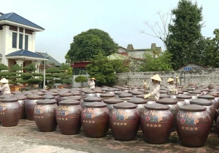 Hơn 300 chum sành được Công ty TNHH nước mắm Cự Nham, xã Tiên Trang đầu tư chế biến nước mắm. Ảnh: Báo Thanh Hóa.