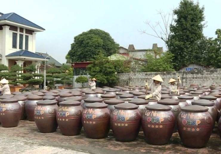 Thanh Hóa thúc đẩy OCOP: 674 sản phẩm đạt chuẩn, mở rộng kênh tiêu thụ