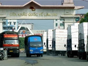 Quy định đăng ký mới dành cho doanh nghiệp xuất khẩu thực phẩm sang Trung Quốc