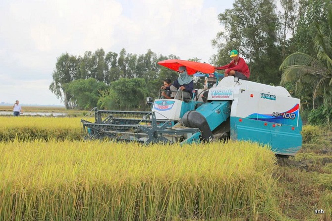 Bàn giải pháp thúc đẩy xuất khẩu gạo năm 2026