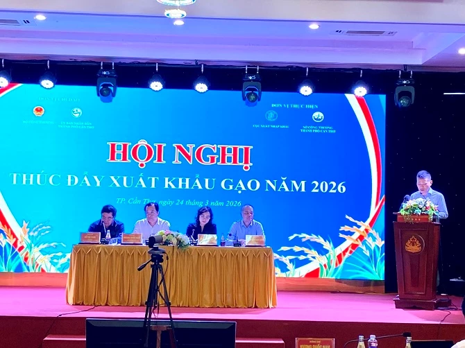 Ảnh 1 - Quang cảnh hội nghị 