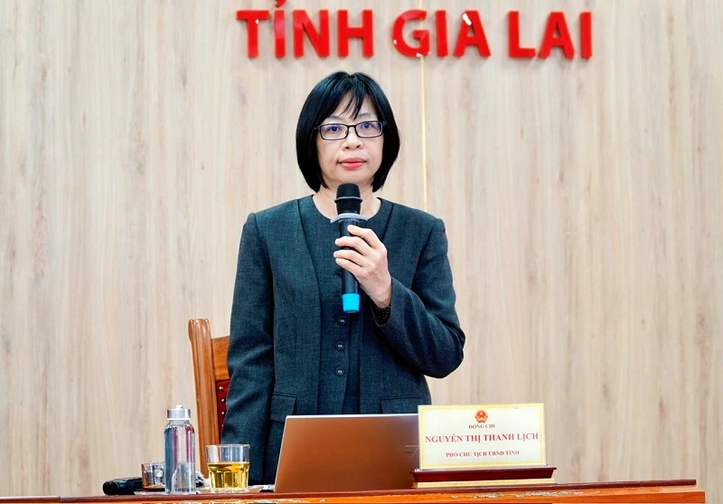 bà Nguyễn Thị Thanh Lịch - Phó Chủ tịch UBND tỉnh Gia Lai chia sẻ với báo chí trước thềm lễ hội.