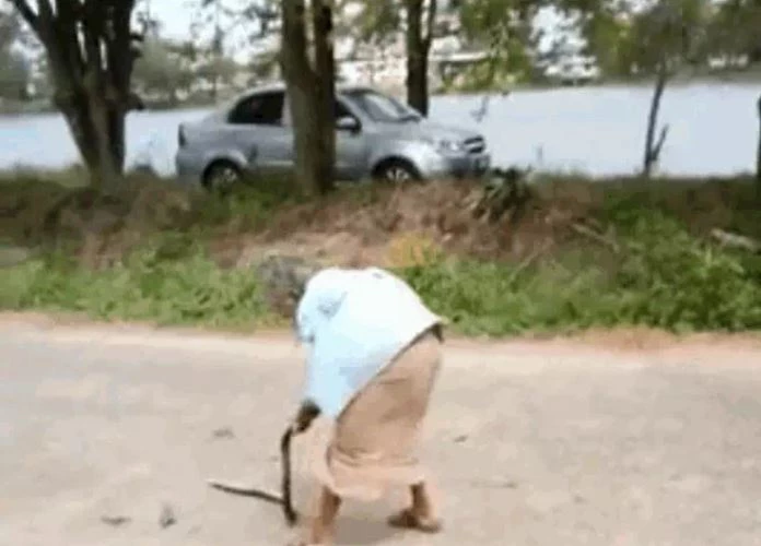 Ảnh cắt từ clip.