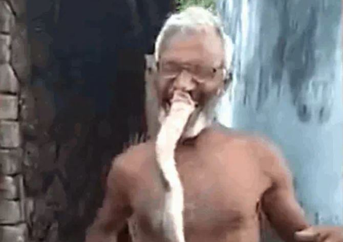 Cụ ông 65 tuổi ngậm rắn hổ mang sống vào miệng